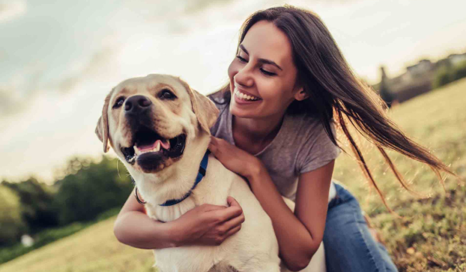 15 Signs of a Happy Dog: How to Recognize Dog Happiness